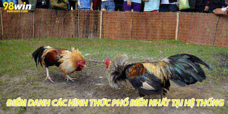 Điểm danh các hình thức phổ biến nhất tại hệ thống