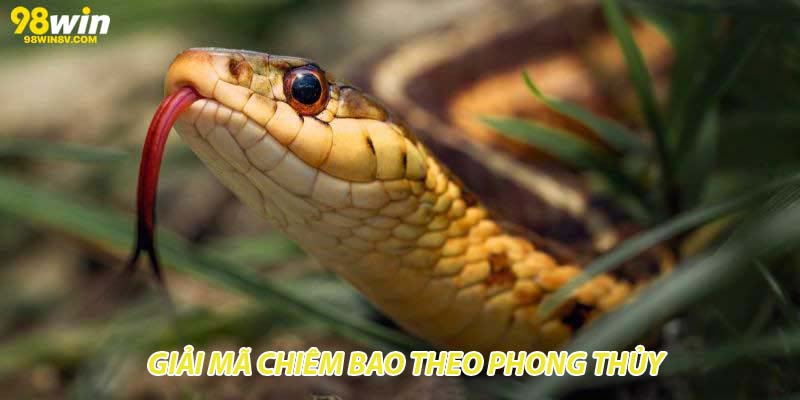 Giải mã chiêm bao theo phong thủy